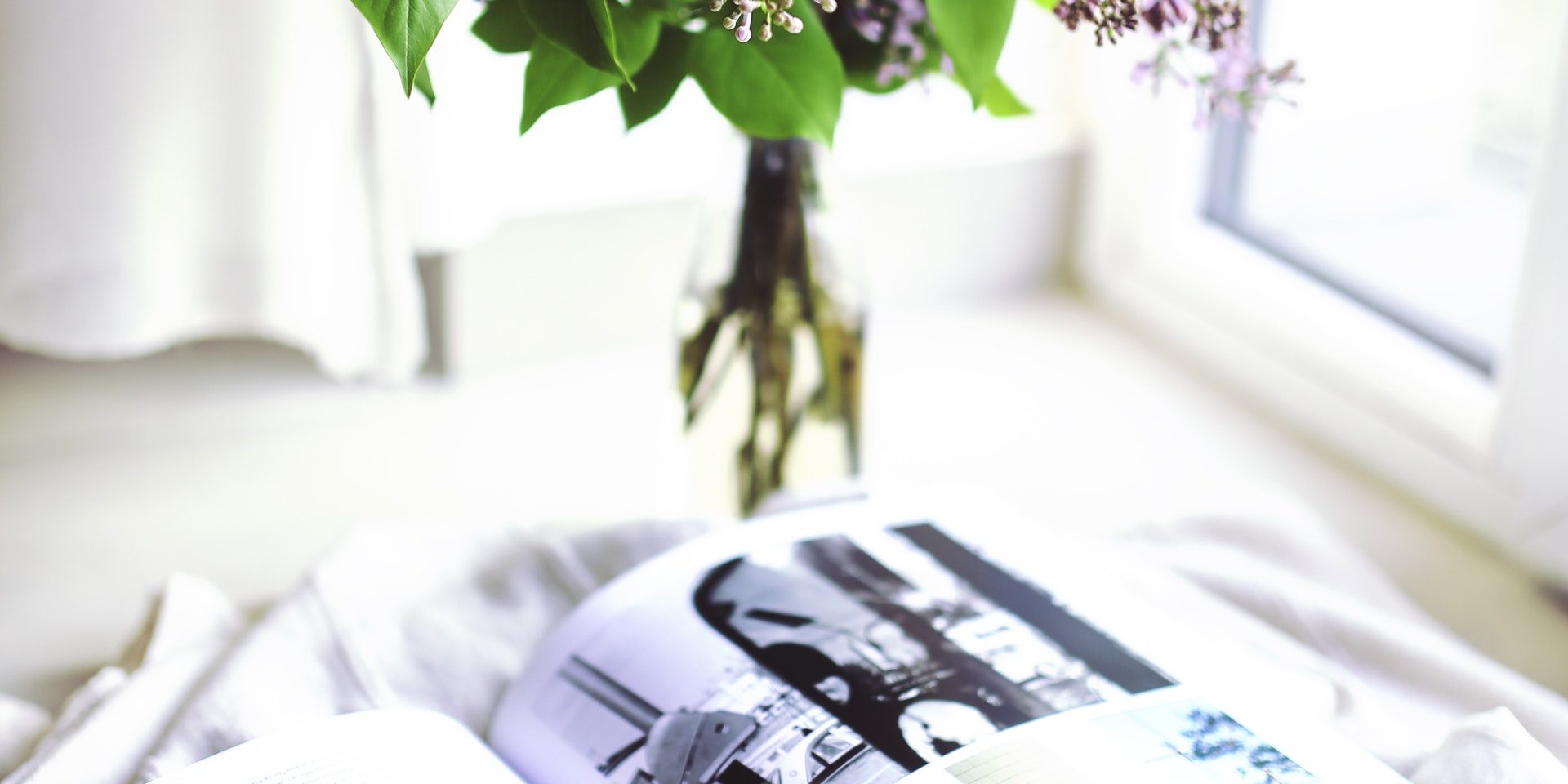plant-flower-decoration-book