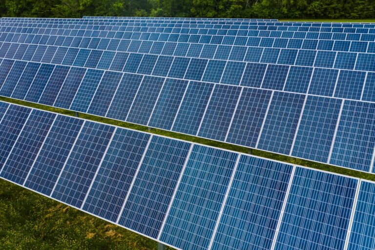 pexels-kelly-4320449(1)